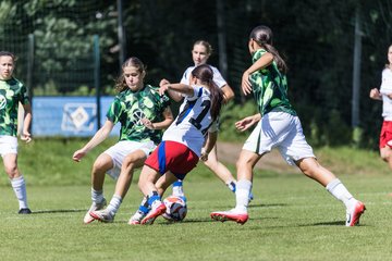 Bild 70 - wBJ Hamburger SV - VfL Wolfsburg : Ergebnis: 5:1